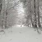 Siedlisko Pod Aniolem Grabowko