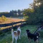 Ferienhaus Siedlisko Pod Aniolem