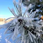 Siedlisko Pod Aniolem Grabowko