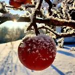 Ferienhaus Siedlisko Pod Aniolem Grabowko