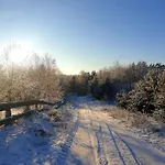 Siedlisko Pod Aniolem *