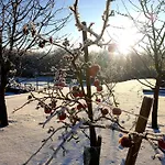 Siedlisko Pod Aniolem Grabowko
