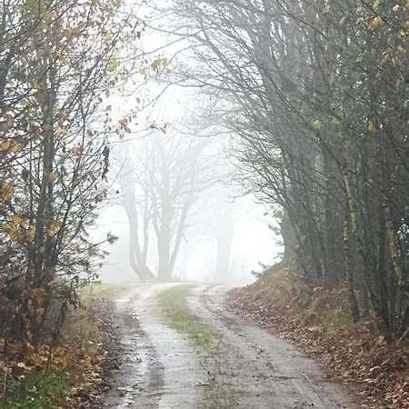 Siedlisko Pod Aniolem Feriehus