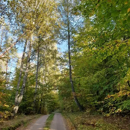 Siedlisko Pod Aniolem *