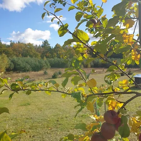 Siedlisko Pod Aniolem * Grabowko