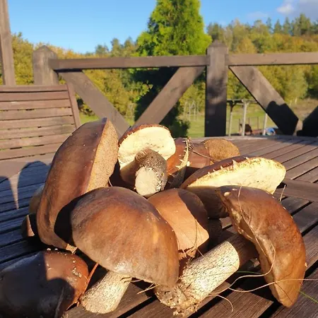 Siedlisko Pod Aniolem * Grabowko