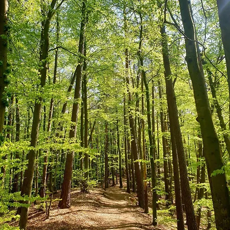 Siedlisko Pod Aniolem Feriehus Grabowko