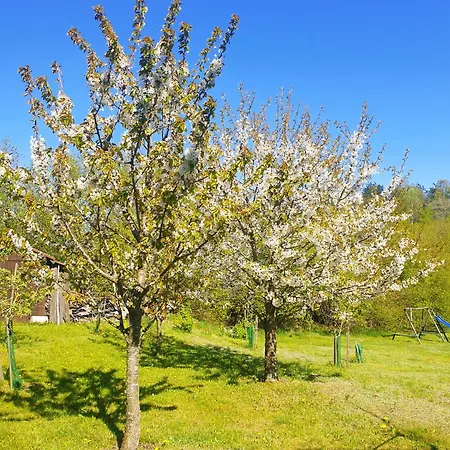 Siedlisko Pod Aniolem *