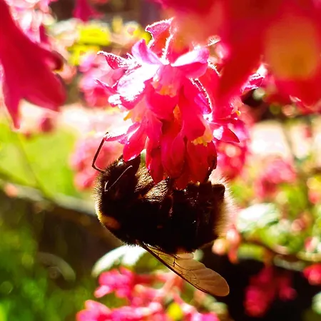 Siedlisko Pod Aniolem Grabowko