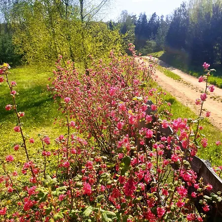 Feriehus Siedlisko Pod Aniolem *