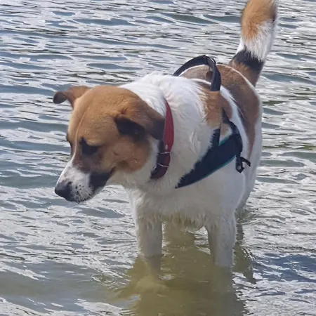 Siedlisko Pod Aniolem *