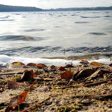 Siedlisko Pod Aniolem * Grabowko