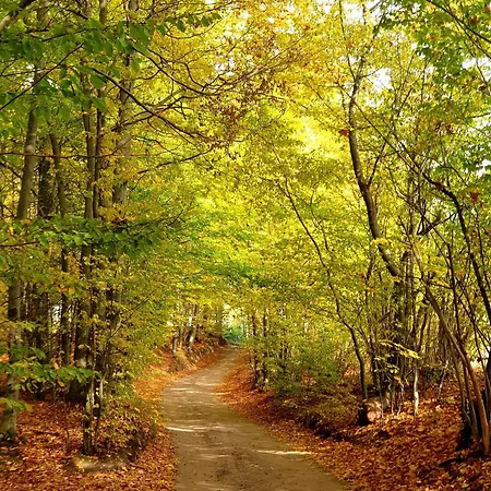 Siedlisko Pod Aniolem Feriehus Grabowko