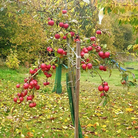 Feriehus Siedlisko Pod Aniolem Grabowko