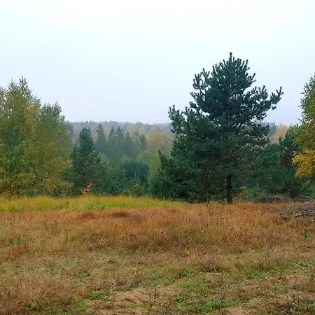 Siedlisko Pod Aniolem Feriehus