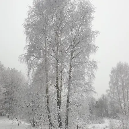 Feriehus Siedlisko Pod Aniolem