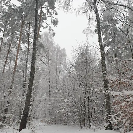 Siedlisko Pod Aniolem