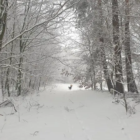 Siedlisko Pod Aniolem Grabowko