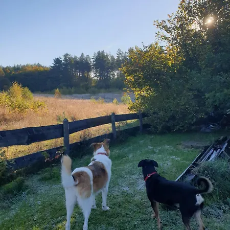 Feriehus Siedlisko Pod Aniolem