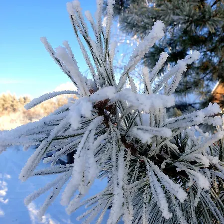 Siedlisko Pod Aniolem Grabowko
