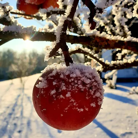 Feriehus Siedlisko Pod Aniolem Grabowko