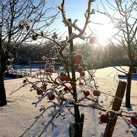 Siedlisko Pod Aniolem Grabowko