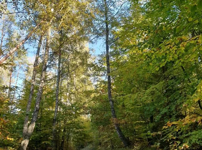 Siedlisko Pod Aniolem *