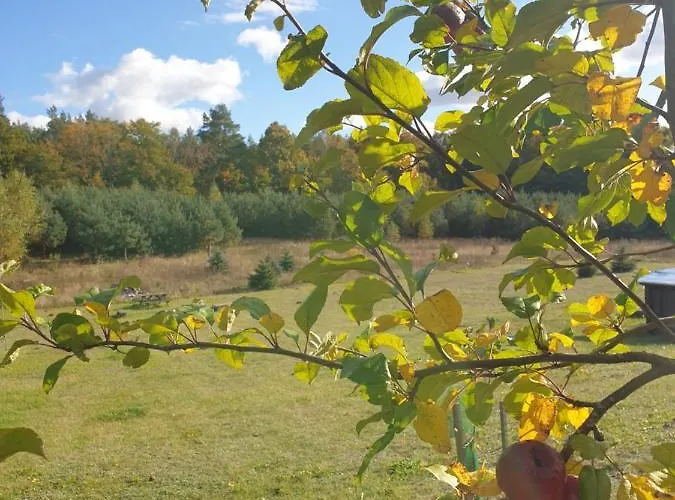 Siedlisko Pod Aniolem * Grabowko