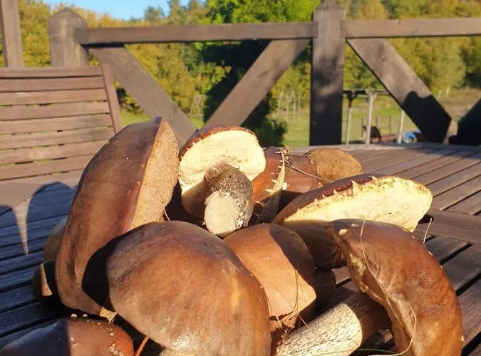 Siedlisko Pod Aniolem * Grabowko