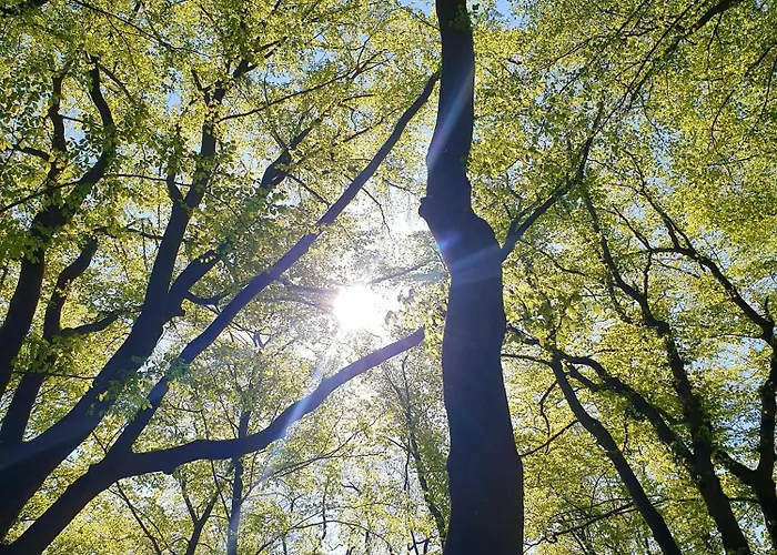 Siedlisko Pod Aniolem