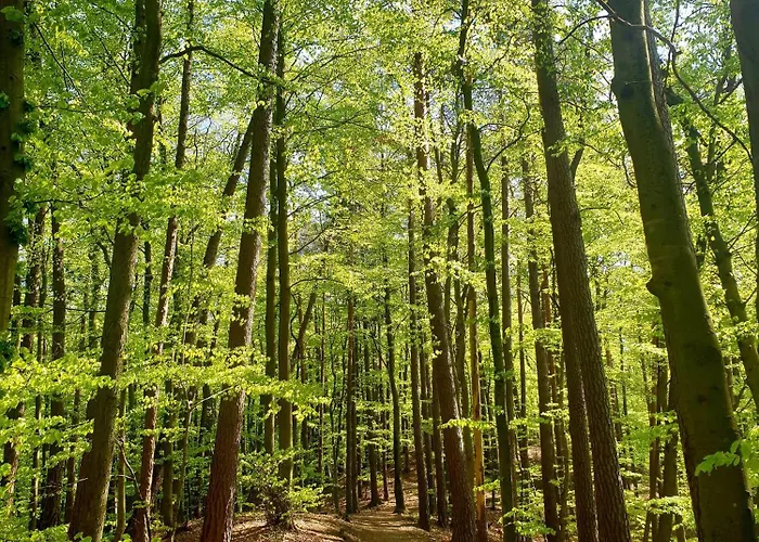 Siedlisko Pod Aniolem Semesterbostad Grabowko