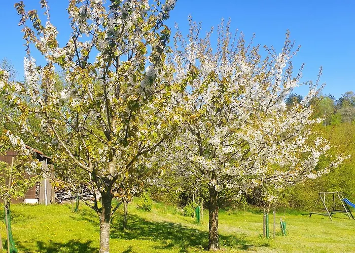 Siedlisko Pod Aniolem *