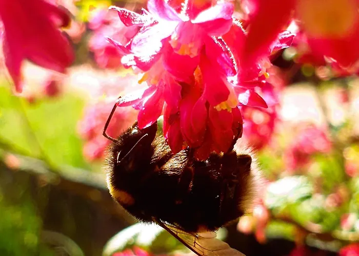 Siedlisko Pod Aniolem Grabowko