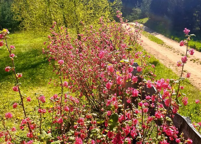 Semesterbostad Siedlisko Pod Aniolem *