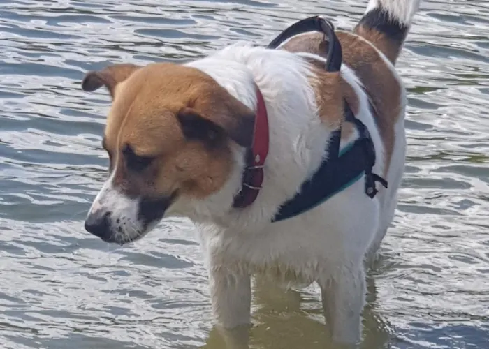 Siedlisko Pod Aniolem *