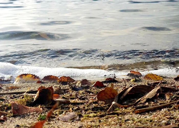 Siedlisko Pod Aniolem * Grabowko