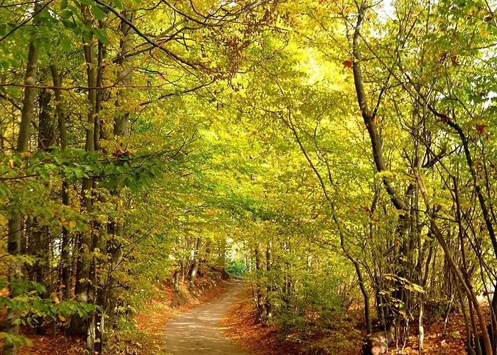 Siedlisko Pod Aniolem Semesterbostad Grabowko