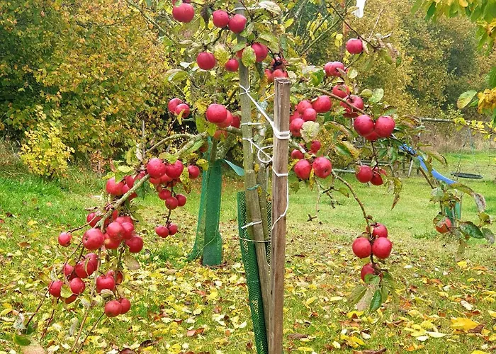 Semesterbostad Siedlisko Pod Aniolem Grabowko
