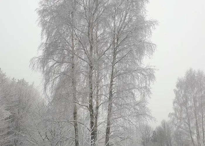 Semesterbostad Siedlisko Pod Aniolem