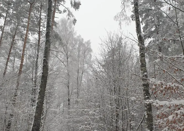 Siedlisko Pod Aniolem