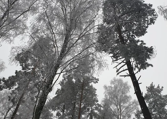 Semesterbostad Siedlisko Pod Aniolem Grabowko