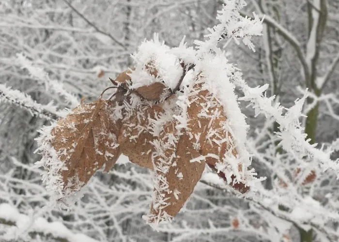 Semesterbostad Siedlisko Pod Aniolem