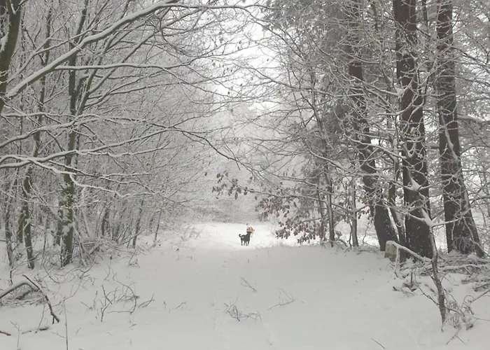 Siedlisko Pod Aniolem Grabowko