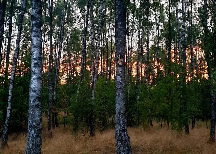 Semesterbostad Siedlisko Pod Aniolem Grabowko