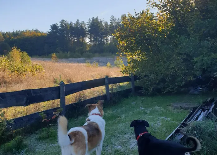 Semesterbostad Siedlisko Pod Aniolem