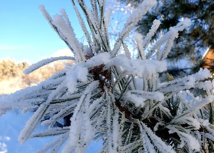 Siedlisko Pod Aniolem Grabowko