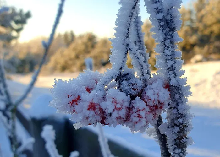 Siedlisko Pod Aniolem Semesterbostad *
