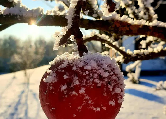 Semesterbostad Siedlisko Pod Aniolem Grabowko