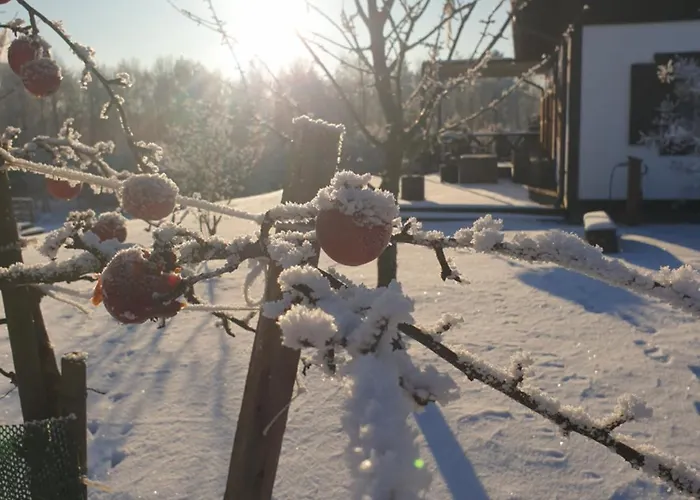 Siedlisko Pod Aniolem Semesterbostad Grabowko